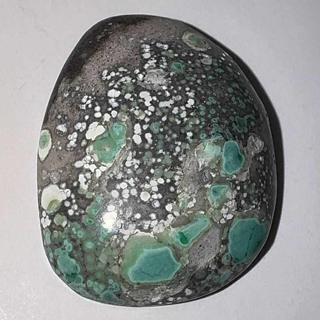 12ct Variscite bi valve pseudomorph