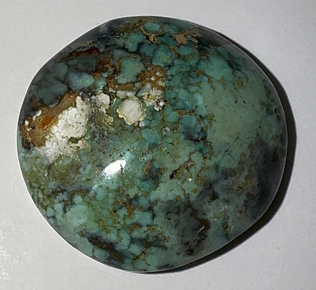 8ct Variscite bi valve pseudomorph