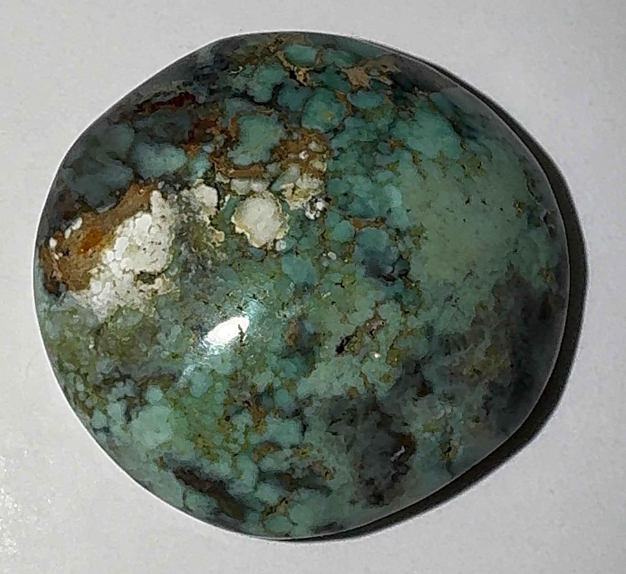 8ct Variscite bi valve pseudomorph