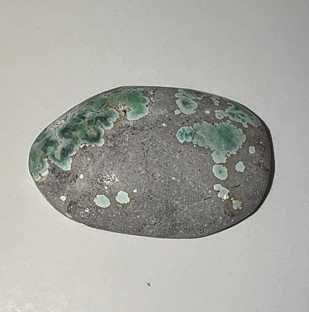 7ct Variscite bi valve pseudomorph