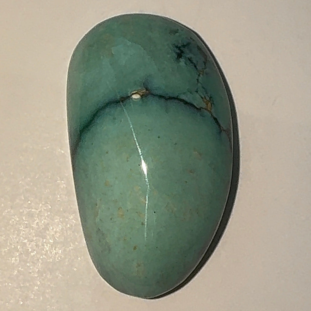 16ct Variscite bi valve pseudomorph