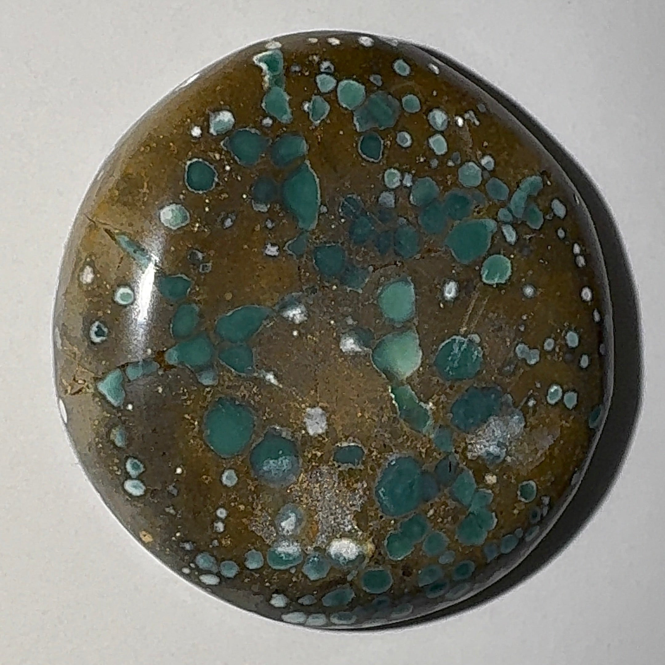 13ct Variscite bi valve pseudomorph