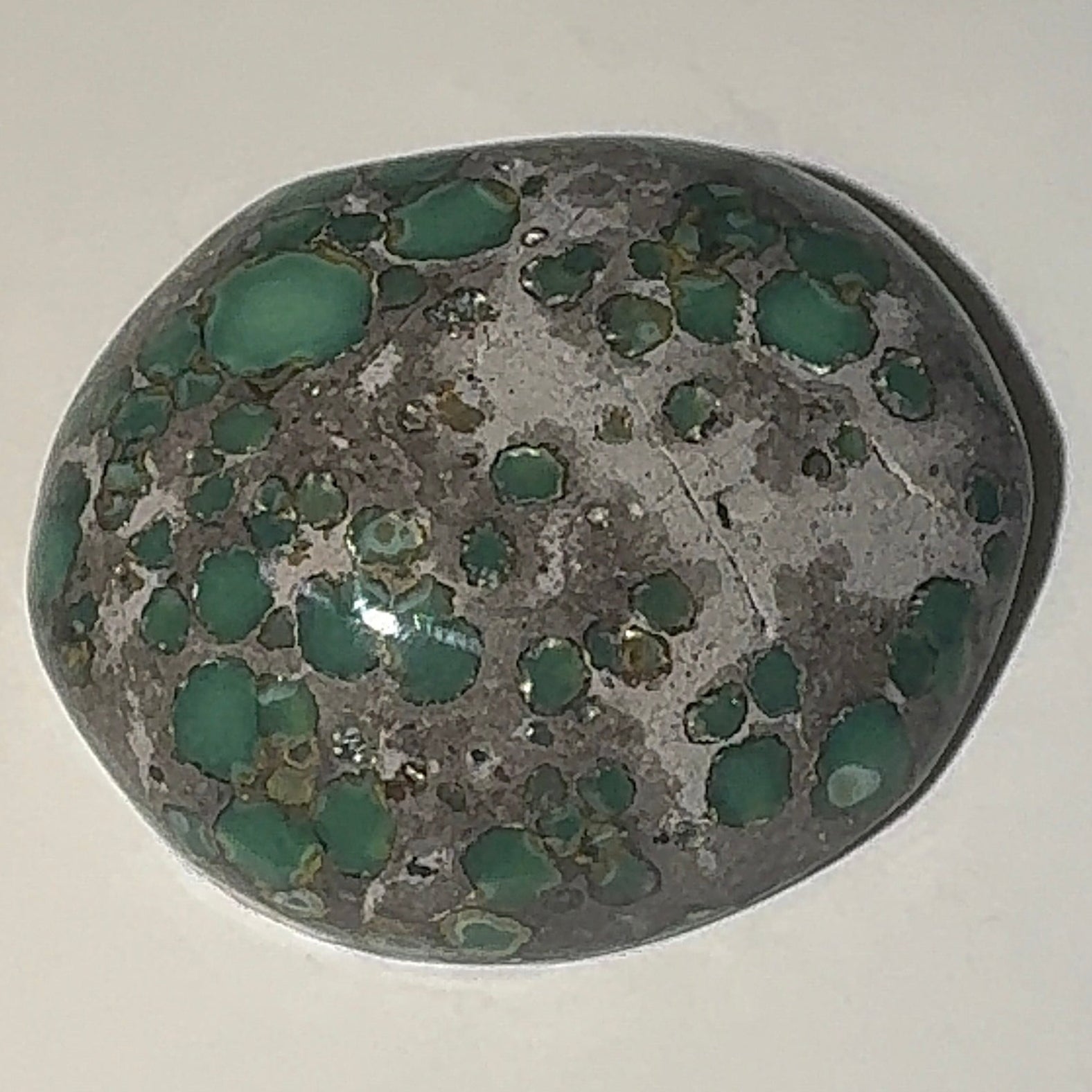 9ct Variscite bi valve pseudomorph