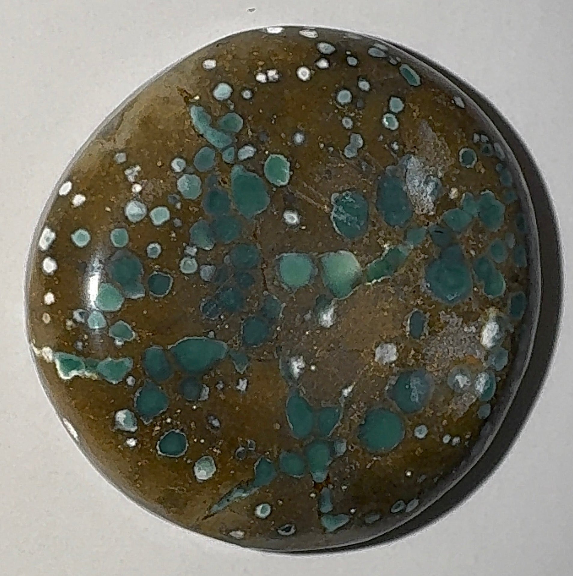 13ct Variscite bi valve pseudomorph