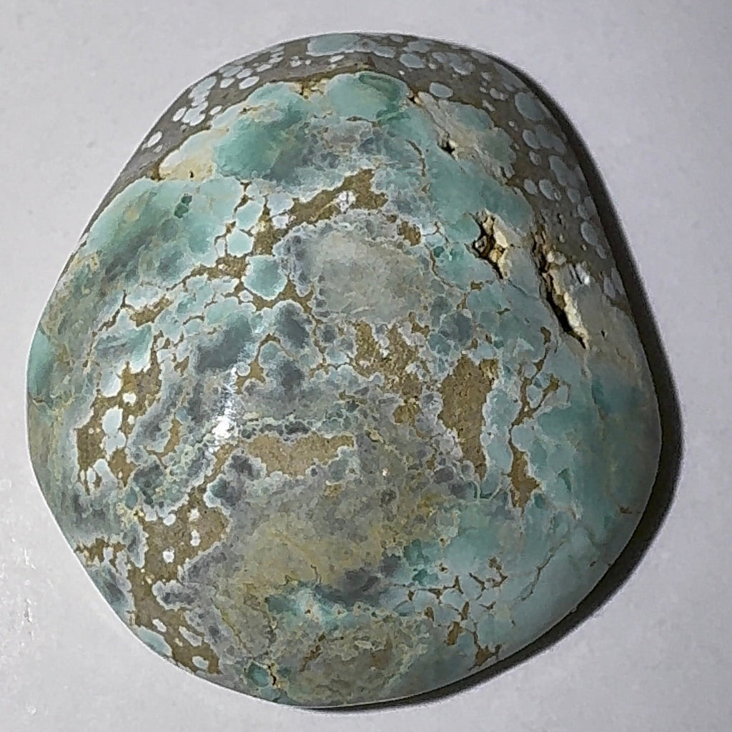 5ct Variscite bi valve pseudomorph