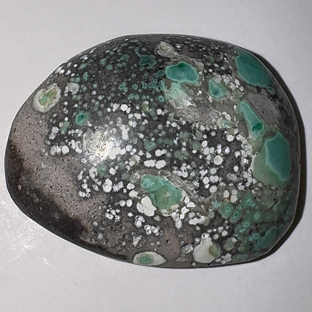 12ct Variscite bi valve pseudomorph