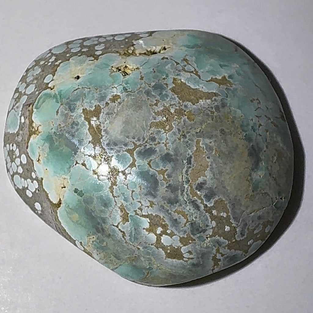 5ct Variscite bi valve pseudomorph