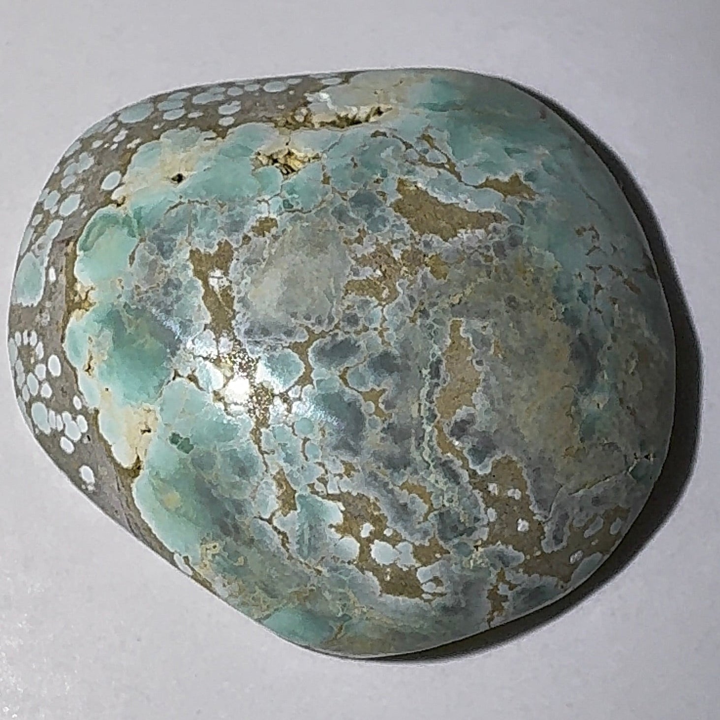 5ct Variscite bi valve pseudomorph