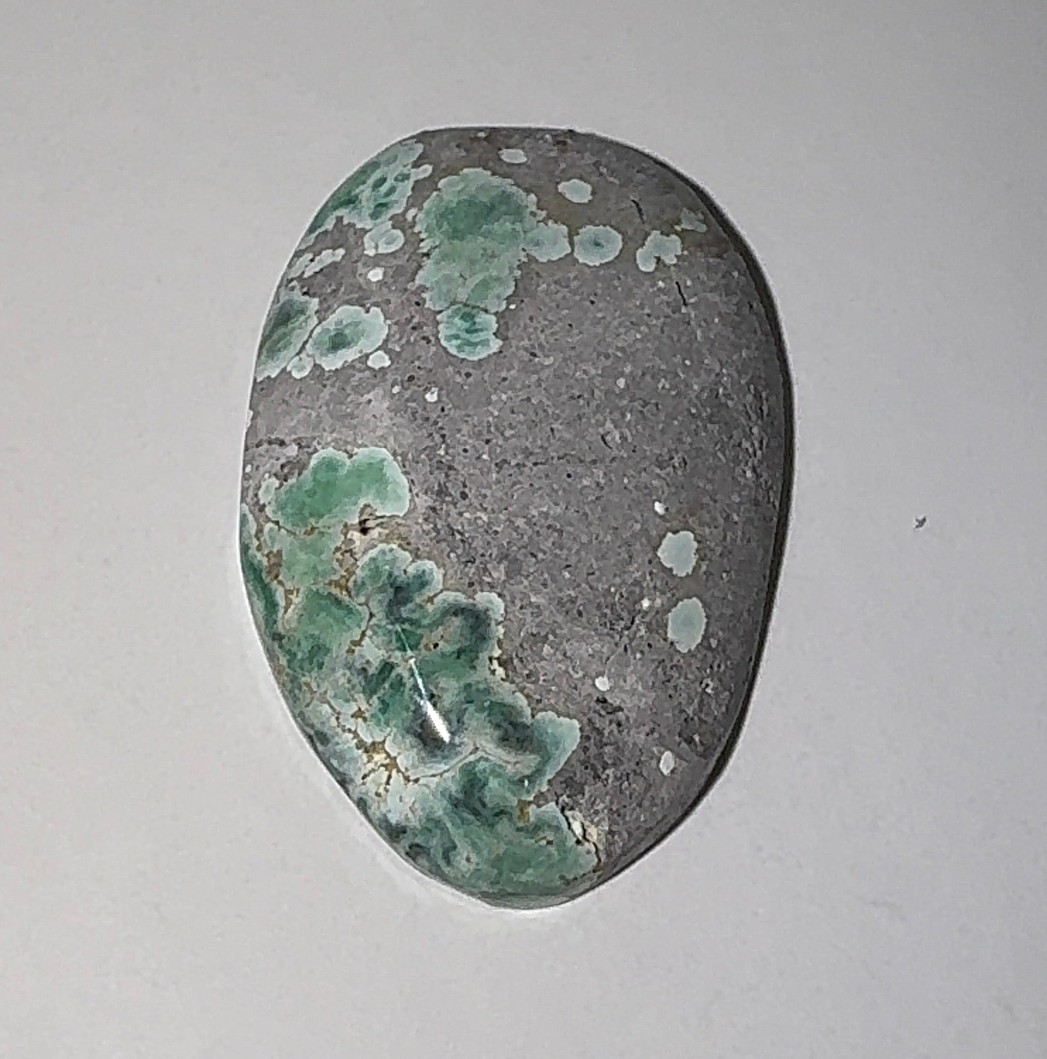 7ct Variscite bi valve pseudomorph