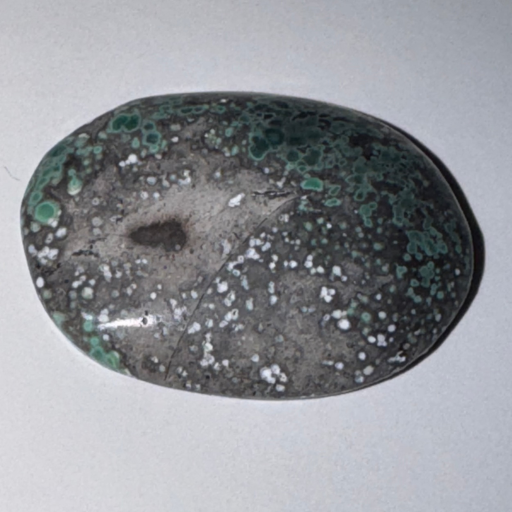 6ct Variscite bi valve pseudomorph